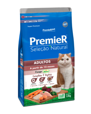 premier-adultos-ragdoll
