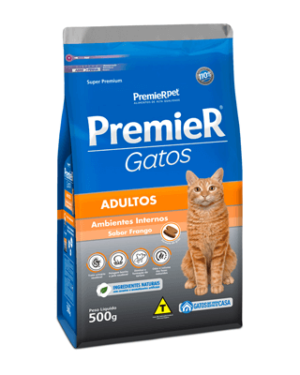 premier-gatos-maine-coon