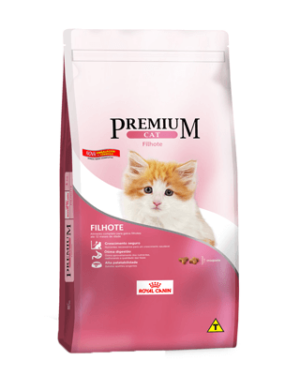 premium-cat-ragdoll
